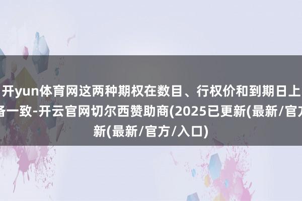 开yun体育网这两种期权在数目、行权价和到期日上必须齐备一致-开云官网切尔西赞助商(2025已更新(最新/官方/入口)