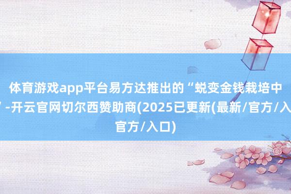 体育游戏app平台　　易方达推出的“蜕变金钱栽培中心”-开云官网切尔西赞助商(2025已更新(最新/官方/入口)