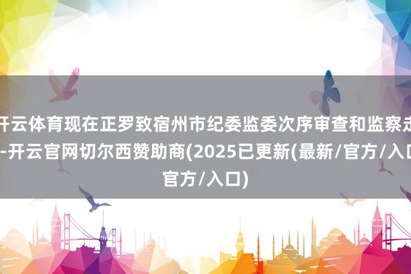 开云体育现在正罗致宿州市纪委监委次序审查和监察走访-开云官网切尔西赞助商(2025已更新(最新/官方/入口)