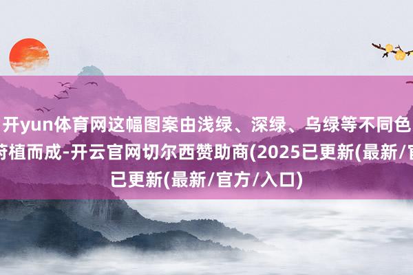 开yun体育网这幅图案由浅绿、深绿、乌绿等不同色系的水稻莳植而成-开云官网切尔西赞助商(2025已更新(最新/官方/入口)