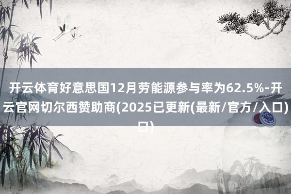 开云体育好意思国12月劳能源参与率为62.5%-开云官网切尔西赞助商(2025已更新(最新/官方/入口)