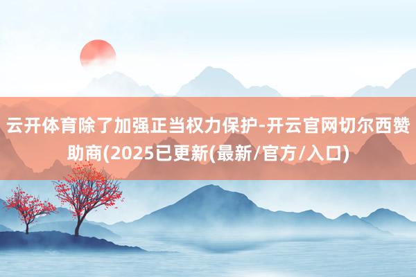 云开体育　　除了加强正当权力保护-开云官网切尔西赞助商(2025已更新(最新/官方/入口)