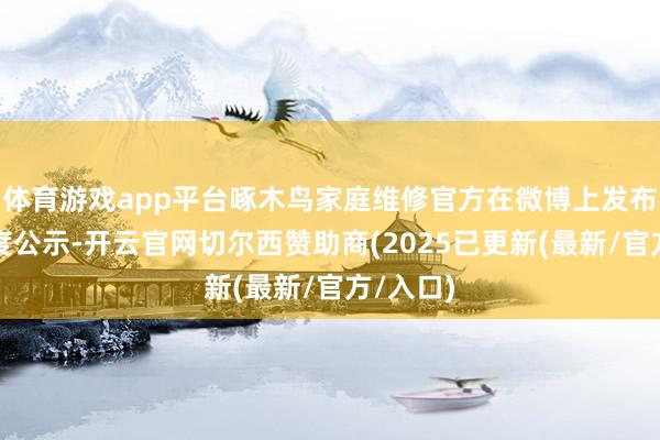 体育游戏app平台啄木鸟家庭维修官方在微博上发布整改程度公示-开云官网切尔西赞助商(2025已更新(最新/官方/入口)