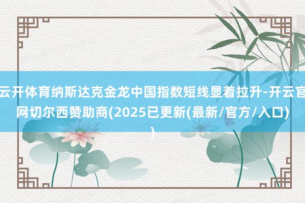 云开体育纳斯达克金龙中国指数短线显着拉升-开云官网切尔西赞助商(2025已更新(最新/官方/入口)