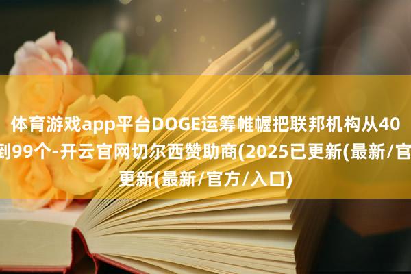 体育游戏app平台DOGE运筹帷幄把联邦机构从400多个压到99个-开云官网切尔西赞助商(2025已更新(最新/官方/入口)
